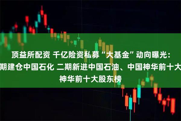 顶益所配资 千亿险资私募“大基金”动向曝光：鸿鹄三期建仓中国石化 二期新进中国石油、中国神华前十大股东榜